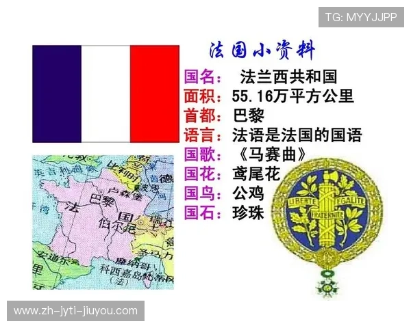 英超球队组织结构与管理层职责分布分析